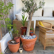 Cargar y reproducir el video en el visor de la galería, CONJUNTO DE JARDIN L CLÁSICO O ESQUINERA DE RATÁN NATURAL
